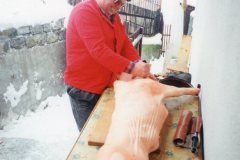 1999_Prase_01