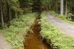 2002_Šumava_06