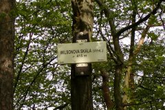 2005_Duko_56