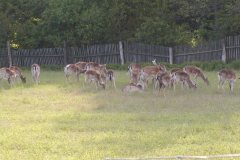 2005_Duko_58