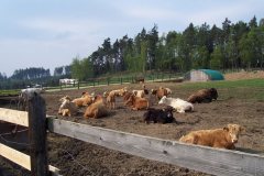 2006_Rovné_37