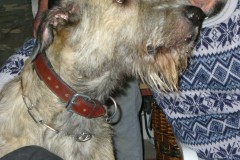 2007_PRAZ_30