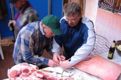 2008_Prase_06