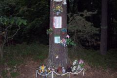 2008_Ustek_87