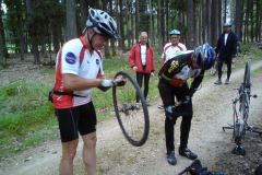 2011_Labe_01