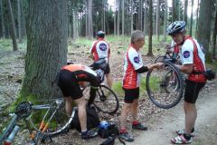 2011_Labe_02