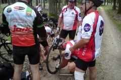 2011_Labe_03