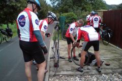 2011_Labe_34