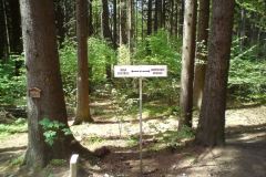2012_JH_11