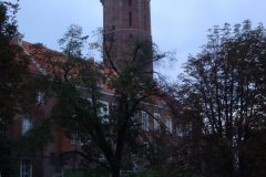 2014_Legnica_16
