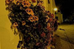 EKO_20210918_75