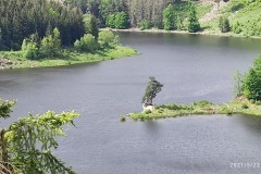 ROV_2021_19