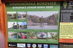 ROV_2021_24