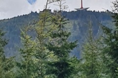 2022_Bes_JE_04