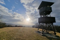 CHL_2022_20