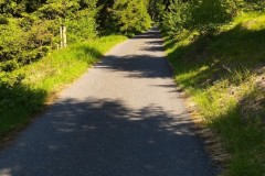 2022_Sum_Otto_04