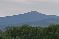2023_JARO_25
